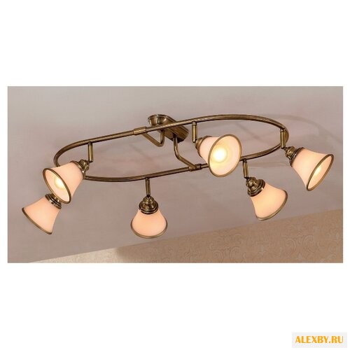 Спот Citilux Прованс CL511163