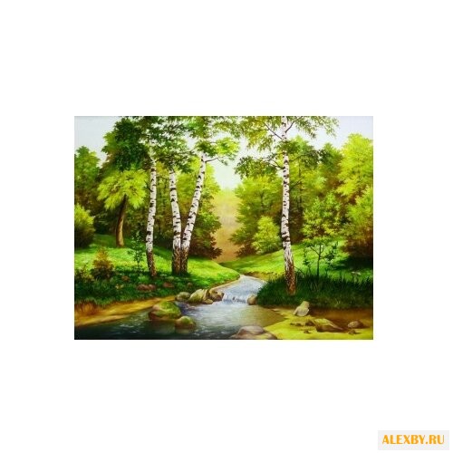 Алмазная живопись Набор