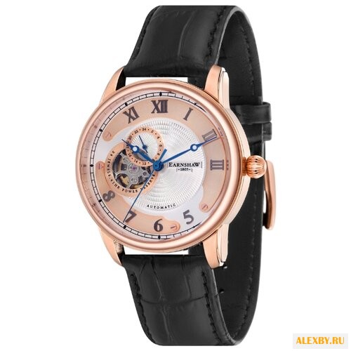 Наручные часы EARNSHAW ES-8803-03