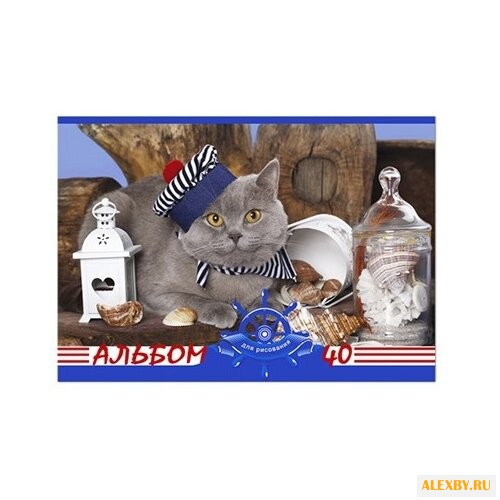 Альбом для рисования BG Морская