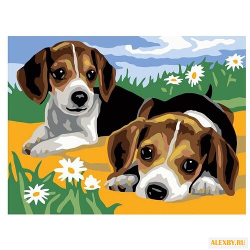 Белоснежка Картина по номерам