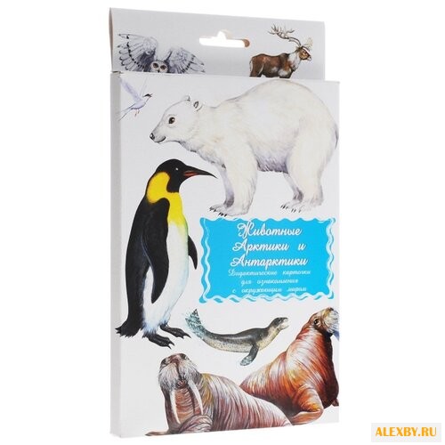 Набор карточек Маленький гений