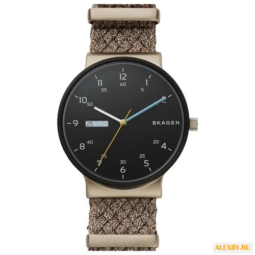 Наручные часы SKAGEN SKW6453