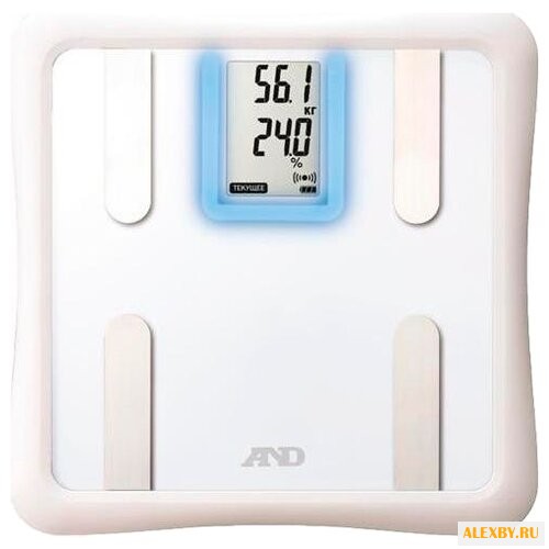 Весы AND MC-101W
