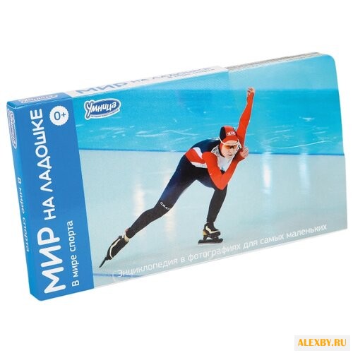 Набор карточек Умница Мир на