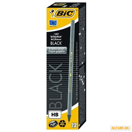 BIC Набор чернографитных