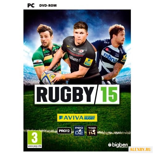 Rugby 15