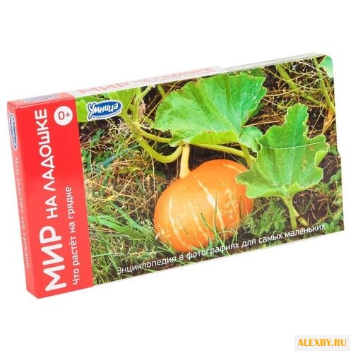 Набор карточек Умница Мир на