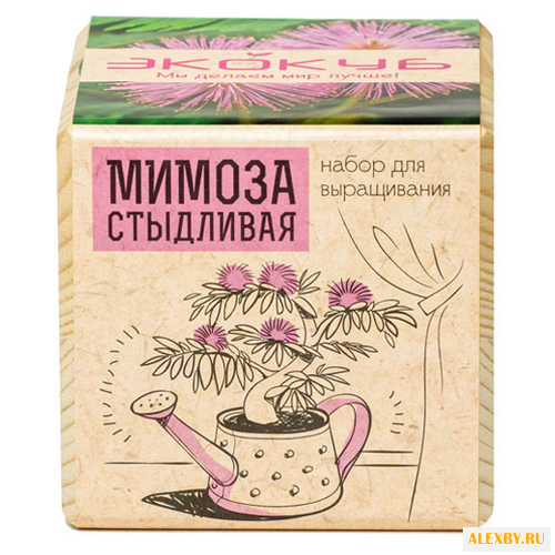 Набор для выращивания Эйфорд