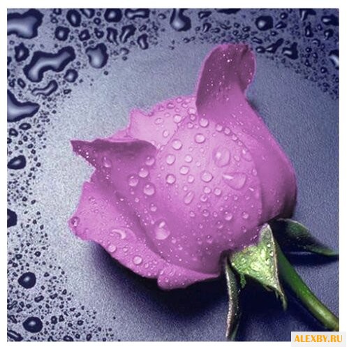 Алмазная живопись Набор