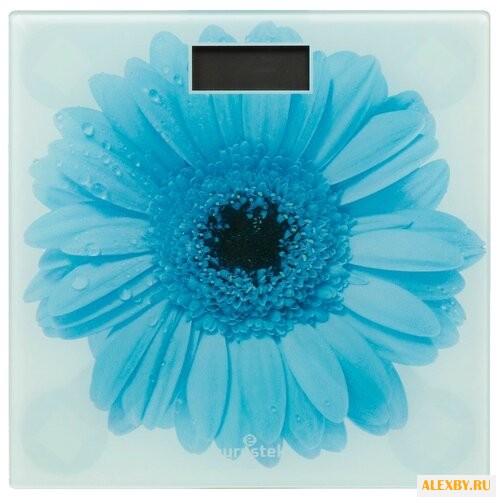 Весы Eurostek EBS-3006