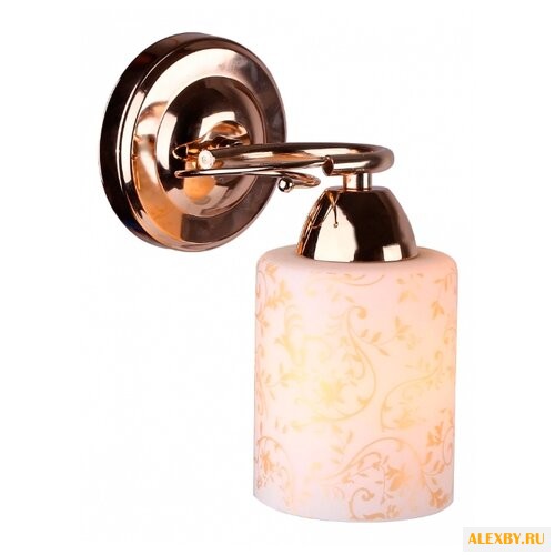 Настенный светильник Arte Lamp