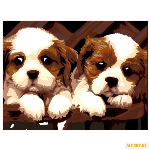 Color Kit Картина по номерам