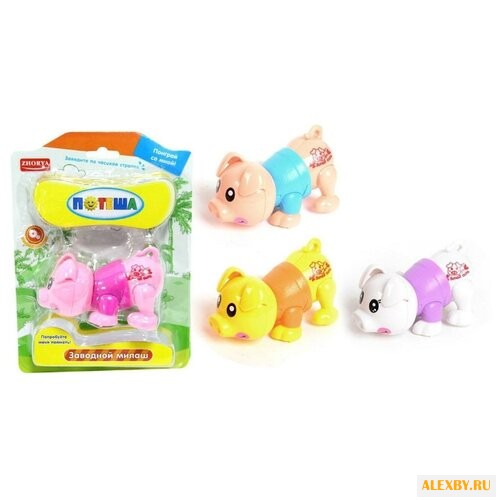 Игровой набор Zhorya Потеша -