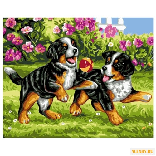 Color Kit Картина по номерам