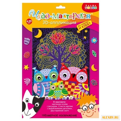 Дрофа-Медиа 3D-аппликация Совы