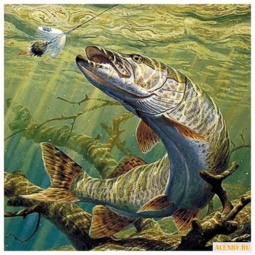 Алмазная живопись Набор