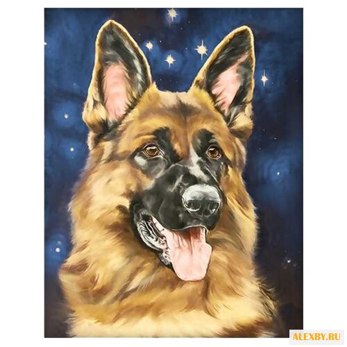 Алмазная живопись Набор