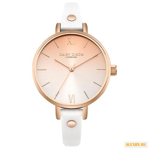 Наручные часы DAISY DIXON