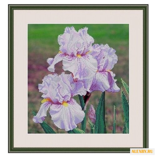 Galla Collection Набор для