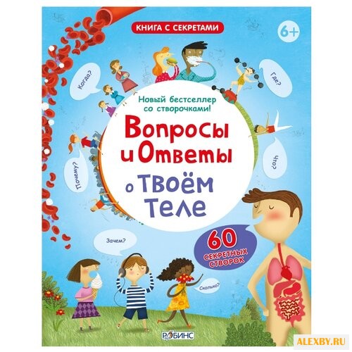 Вопросы и ответы о твоем теле