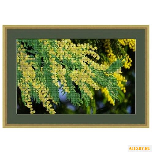 Galla Collection Набор для