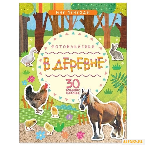 В деревне Мир природы книга с