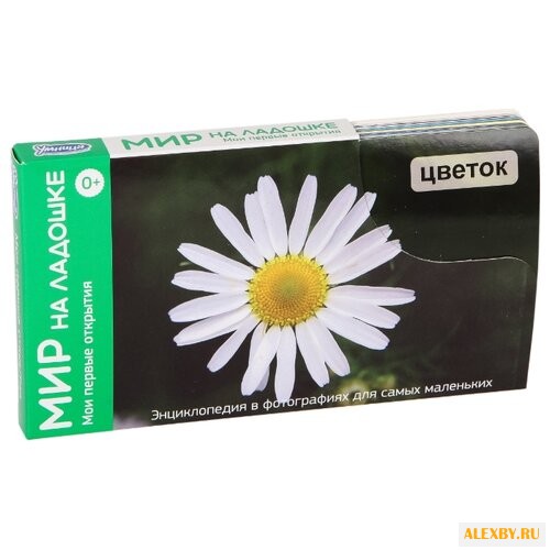 Набор карточек Умница Мир на
