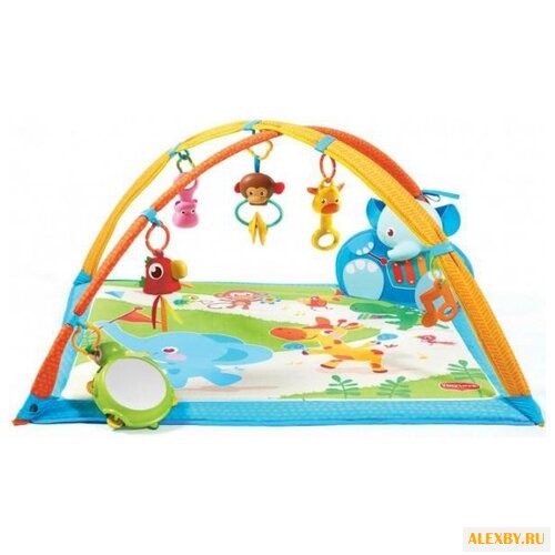 Развивающий коврик Tiny Love