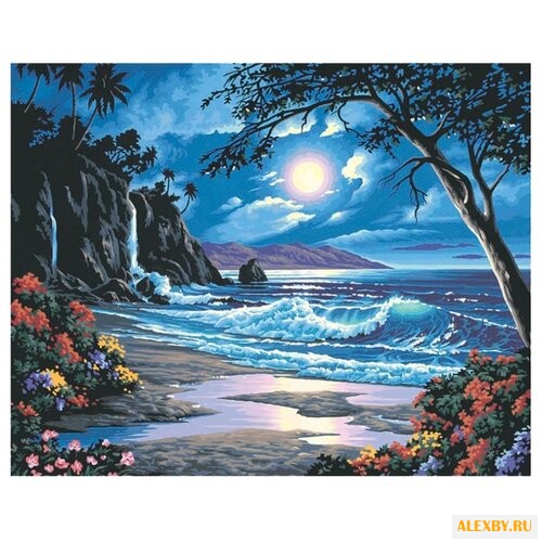 Dimensions Картина по номерам