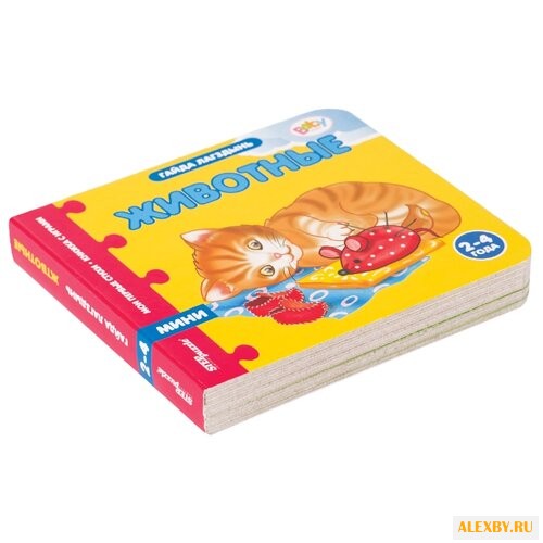 Step puzzle Книжка-игрушка