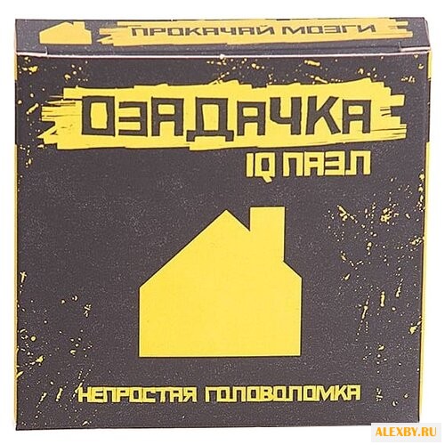 Головоломка Озадачка IQ ПАЗЛ