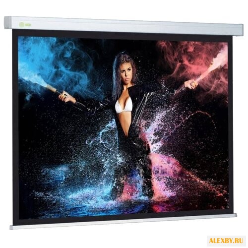 Рулонный матовый белый экран