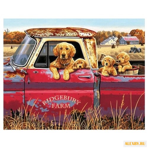 Dimensions Картина по номерам