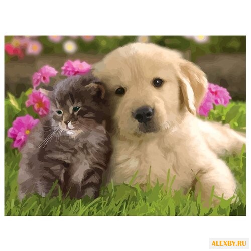 Color Kit Картина по номерам