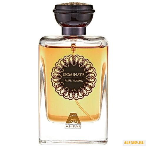 ANFAR Dominate pour Homme