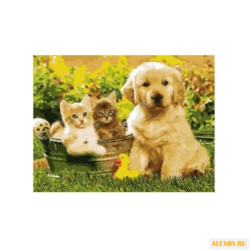 Рыжий кот Картина по номерам