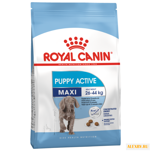 Корм для собак Royal Canin