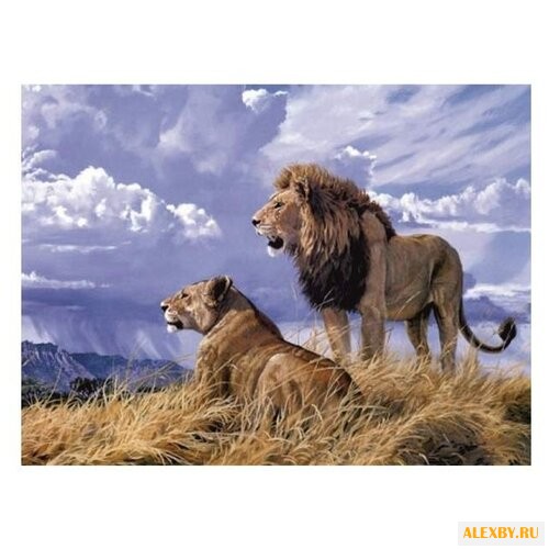 Color Kit Картина по номерам