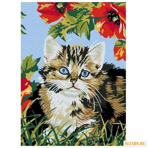 Color Kit Картина по номерам