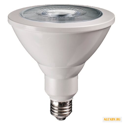 Лампа светодиодная jazzway PPG