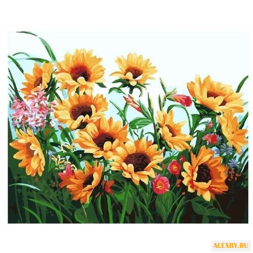 Color Kit Картина по номерам