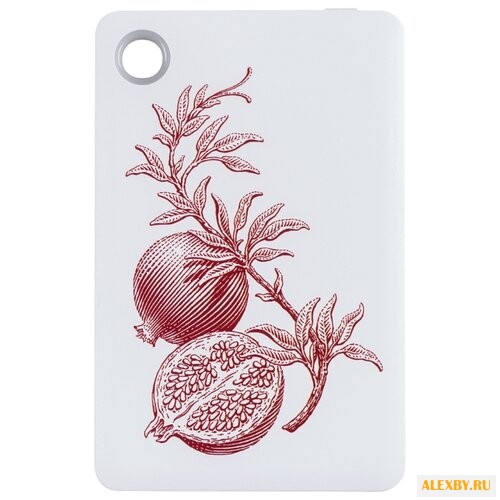 Аккумулятор Принтэссенция