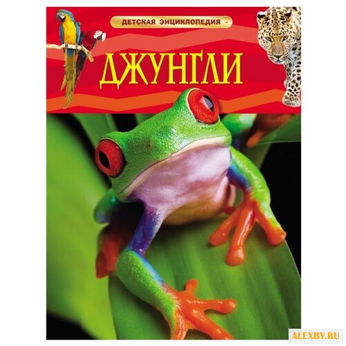 Лэнгли Э. Детская энциклопедия.