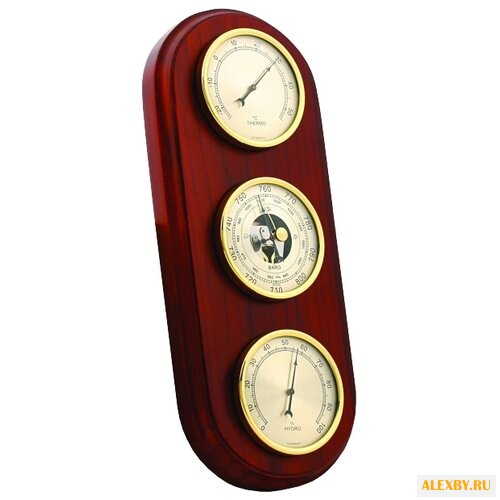 Метеостанция БРИГ+ М-33