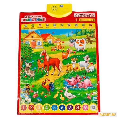 Электронный плакат Умка