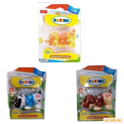 Игровой набор Zhorya Потеша -