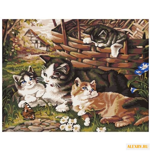 Рыжий кот Картина по номерам