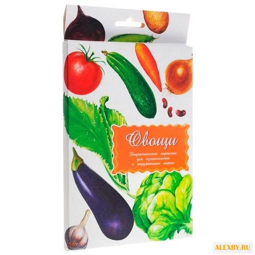 Набор карточек Маленький гений