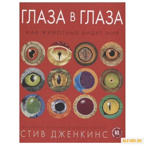 Дженкинс С. Глаза в глаза. Как